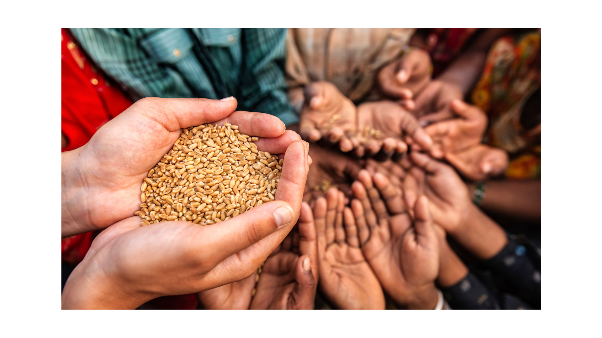 Calculate your Zakat accurately with the Muslim Welfare Centre's Zakat Calculator. Support meaningful causes and fulfill your religious obligation to give back to the community