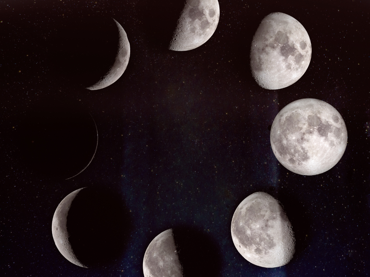 the moon rotation during a month